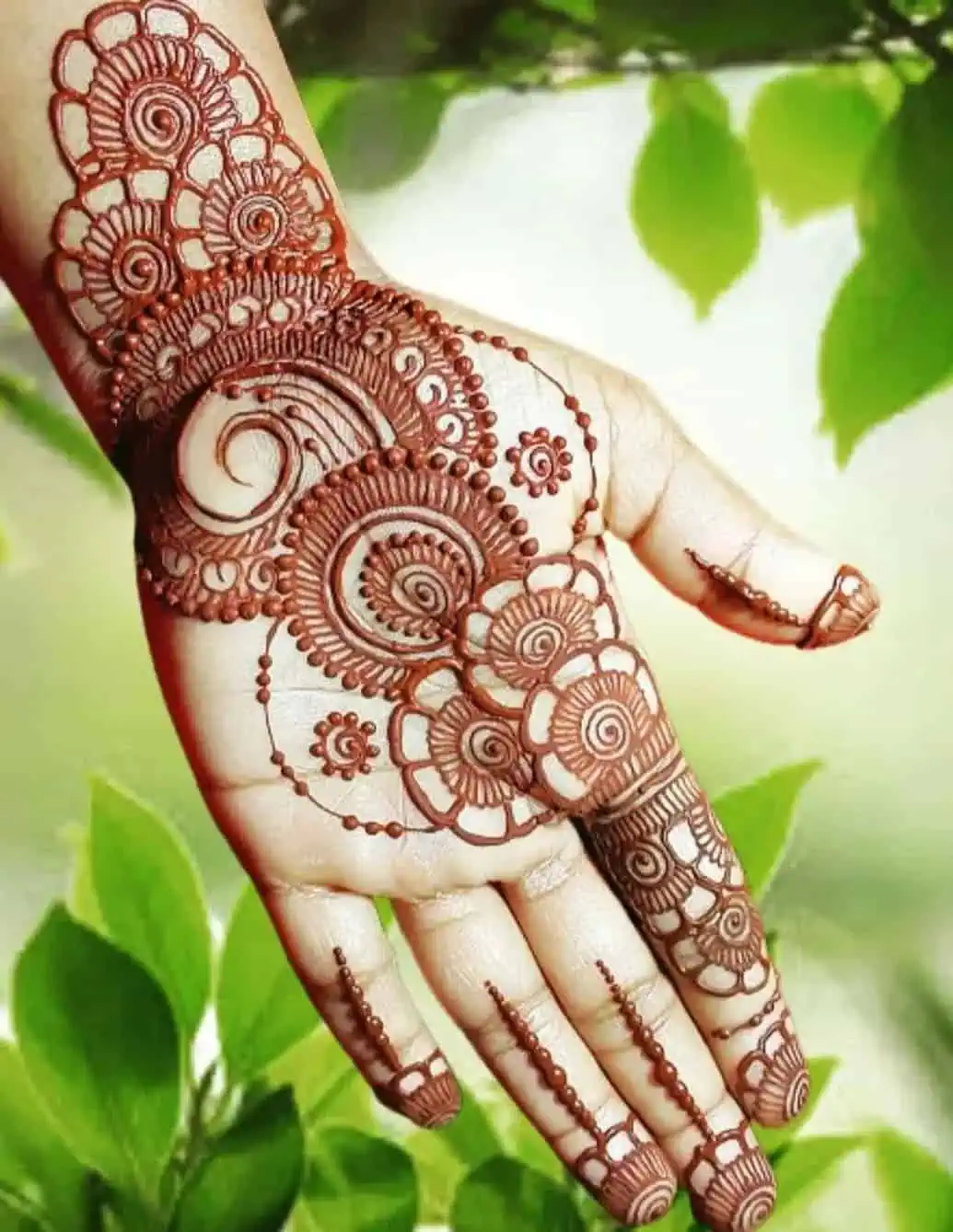 Simple and Plain Mehndi Design